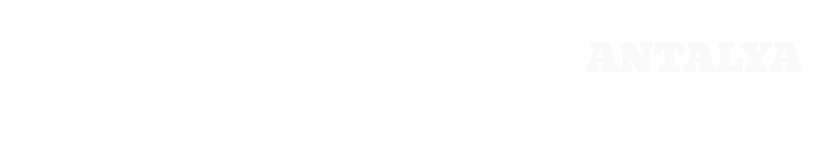 Auto Pratic Template